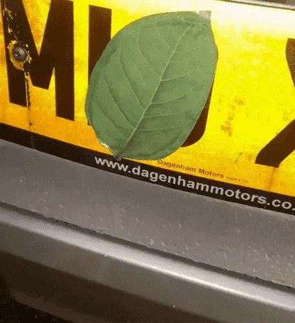 Electromagnetic Leaf License Plate Cover
