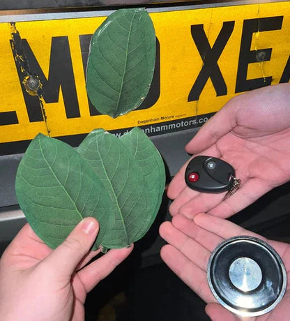 Electromagnetic Leaf License Plate Cover